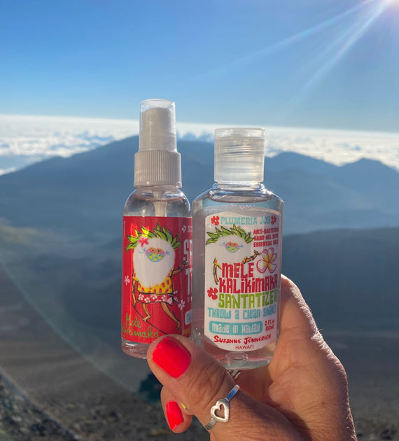 The Hawaiian <br>x-mas Shop